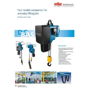 Hoist Crane Demag 500 Kg