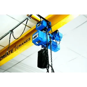 Hoist crane